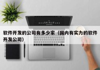 软件开发的公司有多少家（国内有实力的软件开发公司）